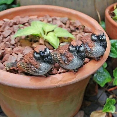 Buy 3 Pot Topping Sparrow Bird Garden Ornaments Outdoor Animal Statues • 12.99£