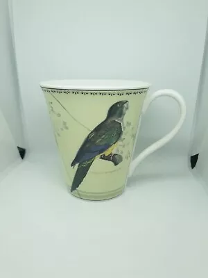 Buy Aynsley Ornithological  Science & Society Picture Library Bone China Cup (3) • 10£