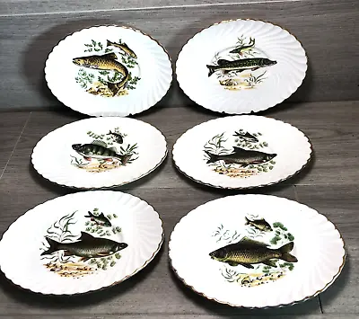 Buy Aynsley 6x Bone China 21cm Fish Patterned Salad Side Plates - Vintage Rare • 44.38£