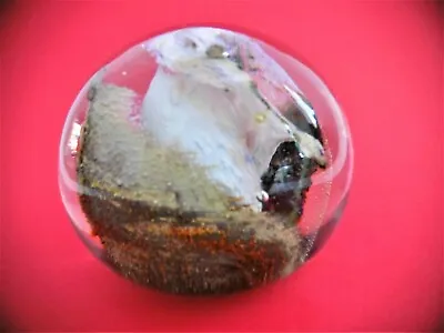Buy Isle Of Wight Glass Sculpture Paperweight • 20£