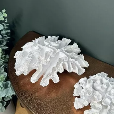 Buy White Faux Coral Ornament Large Sculpture Cat's Paw 10x28x28cm • 25£