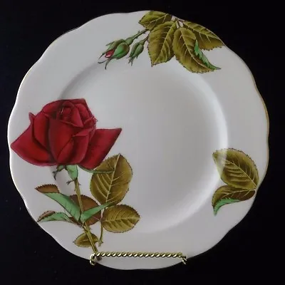 Buy Royal Standard English Rose1 Lunch Plate In Bone China • 14.10£