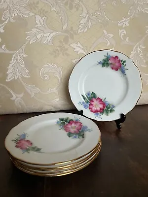 Buy Duchess - '392' - 6 Side Plates - Fine Bone China - Made In England • 22£