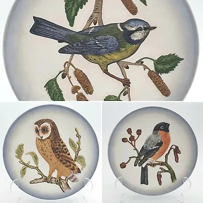 Buy W. Goebel Porzellanfabrik Wildlife Hand Painted Bird Plates 70's West Germany • 12.95£