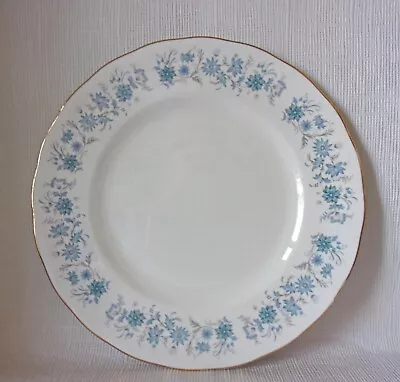 Buy COLCLOUGH BRAGANZA 270mm DINNER PLATE  DINNER PLATE GOOD CONDITION  • 5.50£
