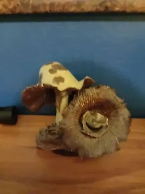 Buy Pottery Mushroom Figurine Clarecraft ? • 11£