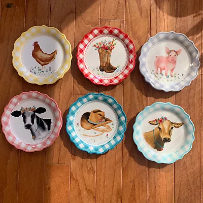 Buy Set Of Six Pioneer Woman Novelty Gingham 7-Inch Plates Farm Country-Chic • 33.74£