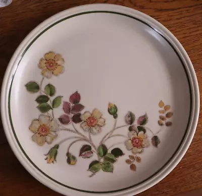 Buy Marks & Spencer M & S Autumn Leaves Lunch / Salad Plate 8½ Inches (22cm) 6 Avai • 6.25£