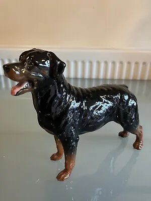 Buy Beswick Rottweiler Dog (Rare) • 45£