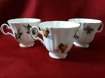 Buy Royal Grafton Fine Bone China Porcelain  Tea Cups Set Of 3 Made In England  • 20.66£