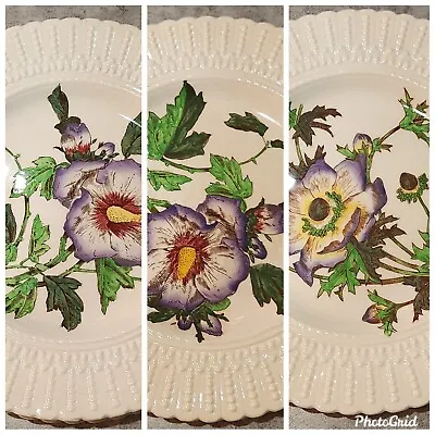 Buy Royal Cauldon Flower Series Luncheon Plate England Floral Embossed Rim 2484 2478 • 14.19£