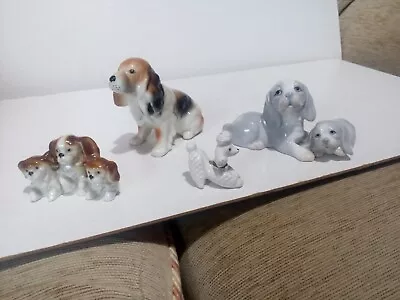 Buy Dogs, Ceramic Dog Ornaments, Various Dogs • 8£