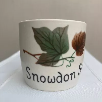 Buy Vintage Retro Snowdon / Yr Wyddfa Egg Cup; New Devon Pottery  • 3£