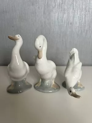 Buy Nao By Lladro Curious Duck Figure / Figurine - 3 Ducks • 8.95£