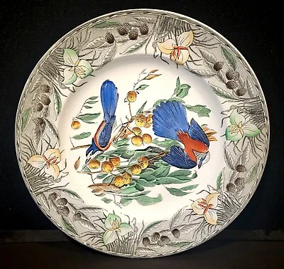 Buy The Birds Of America Adams China Florida Jay Dinner Decorative Plate England • 75.78£
