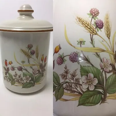 Buy Vtg St Michael HARVEST Container Tea Biscuits Berries Wheat Decor Kitchenalia • 19.99£