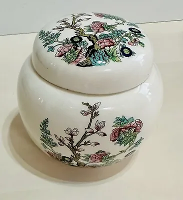 Buy Sadler Indian Tree Ginger Jar. Ironstone Lidded With Pink Blue & Yellow Flowers • 20£