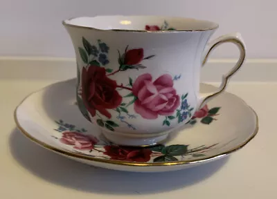 Buy Vintage Queen Anne Bone China Tea Cup And Saucer • 8.20£