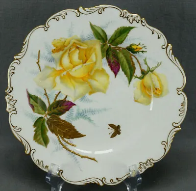 Buy Brown Westhead Moore Cauldon S Pope Hand Painted Yellow Rose & Raised Gold Plate • 628.53£