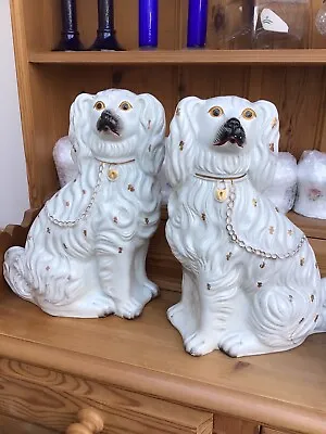 Buy Vintage Staffordshire China Dogs ~ Stunning Pair Of King Charles Spaniels H14” • 105£
