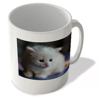 Buy White Kitten - Mug • 10.99£