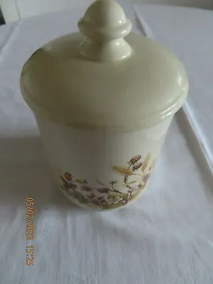 Buy Vintage (possibly)St Michael's Harvest Pattern Kitchen Storage Jar Pot With Lid  • 5.50£