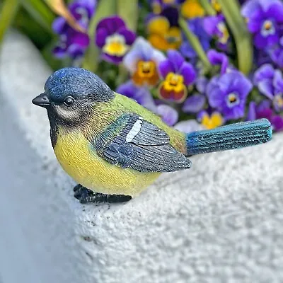 Buy Blue Tit Garden Bird Ornament Outdoor Animal Statue British Birds Decoration • 10.99£