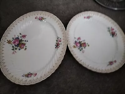 Buy Burleigh Ware Floral  Serving Plates One 13.5 Inches And One 12 In He's • 3£