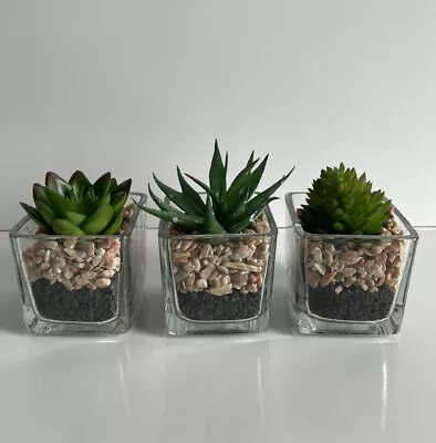 Buy New Modern Set 3 Small Square Glass Pots With Artificial Succulent Plants.  • 9.99£