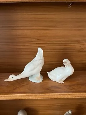 Buy Nao/lladro Figurine Swan And Duck Together  • 3£