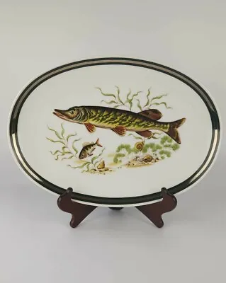 Buy Thomas Germany Rosenthal Fish Serving Plate Platter FischTeller Platte Fishing • 29.99£
