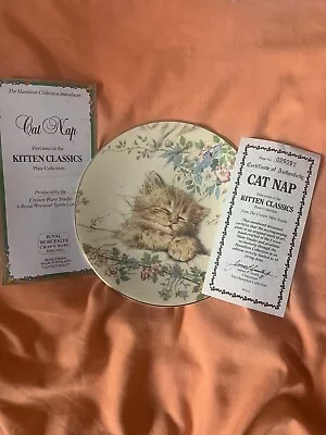 Buy Royal Worcester Bone China Plate 24 Gold Rim “Cat Nap” With Cert Of Authenticity • 20£