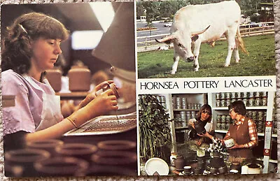 Buy Hornsea Pottery Lancaster Factory Leisure Park Vintage MV Postcard • 1.99£