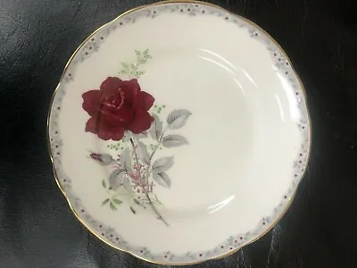 Buy Royal Stafford Roses To Remember Gilded Bone China 6.5  Side / Tea Plate • 2£