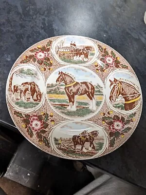 Buy F.R.Gray & Sons Ltd. 10  Vintage Shire Horse Decorative Plate • 8.90£