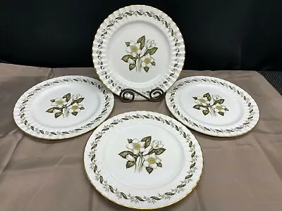 Buy Royal Worcester  ENGADINE  England  ~ Set Of 4 ~ Dinner Plates ~ 10 1/2  • 30.34£