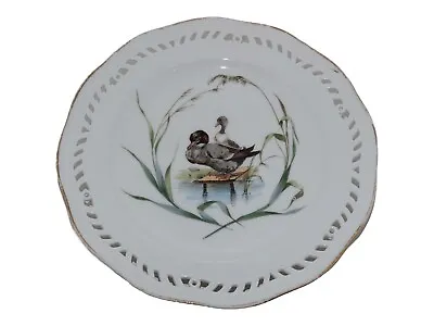 Buy Royal Copenhagen Flora Danica Luncheon Plate With Ducks - Antique • 296.48£