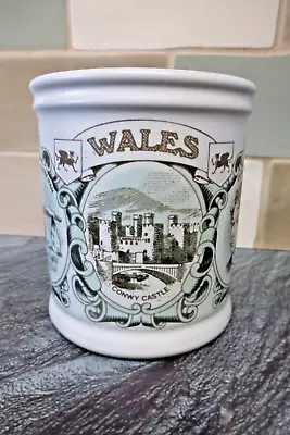 Buy Vintage Denby Pottery Regional Counties Collectable Mug Wales 1970's • 2.20£