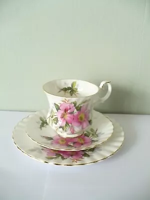 Buy ROYAL ALBERT PRAIRIE ROSE TRIO  - TEA CUP / SAUCER & TEA PLATE - 1st • 8.50£