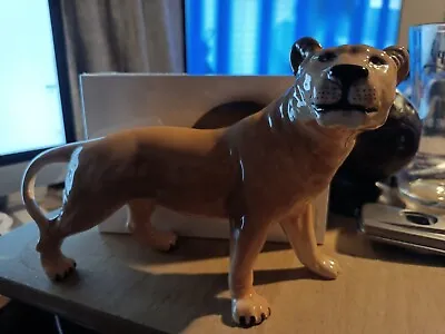 Buy Beswick Lioness Facing Right Figurine, 2097. • 35£