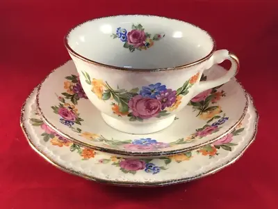 Buy Vintage Swinnertons Luxor Vellum Floral Bone China Tea Trio (Cup, Saucer, Plate) • 9.99£