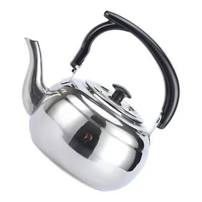 Buy Stainless Steel Camping Tea Kettle With Anti-Scald Handle And Large Capacity • 16.85£