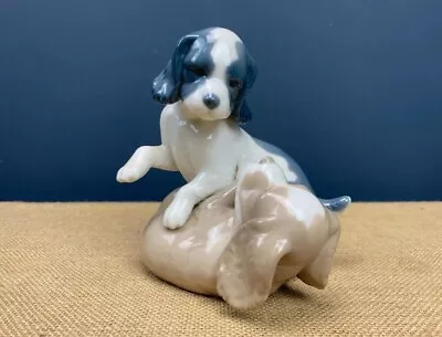 Buy Nao By Lladro  Figurine, Wake Up! 2 Playful Spaniel Puppy Dogs, Height 4 Inches • 13.60£