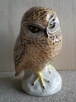 Buy Brian Lownds-Pateman - Babbacombe Pottery    Little Owl   • 9.99£