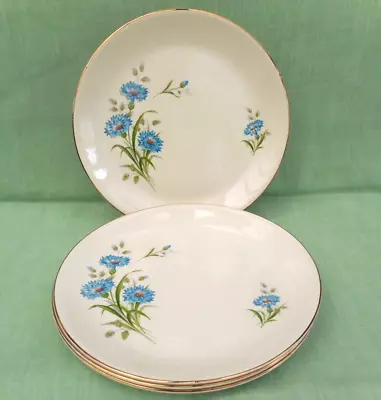 Buy 4 Vintage Alfred Meakin  Cornflower  Dinner Plates - 25.5 Cm (10 ) Diameter • 19.99£