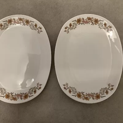Buy 2 Vintage Pyrex Woodland Country Autumn Large Oval Steak Plates. White Brown • 10£