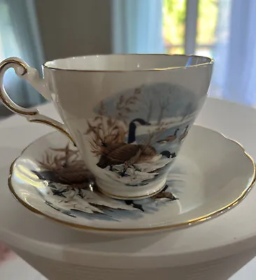 Buy Regency Fine Bone China Tea Cup And Saucer Made In England • 14.23£
