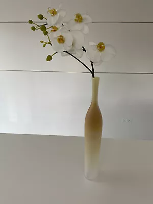 Buy British Art Glass - Tall Vase By Robert Marshall With Orchid Display • 28£