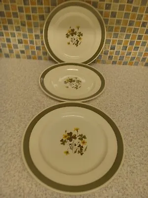 Buy Staffordshire Potteries Irish Meadow Design 3 X Dinner Plates Shamrock & Flower • 12.99£
