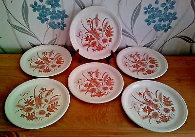 Buy Barratts Of Staffordshire  Brown Poppies, Leaves, Corn - Set Of 6 Dinner Plates • 21.95£